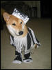 Bella Jail Bird