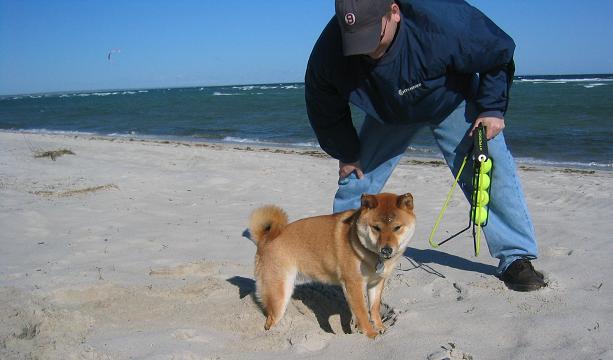On the Beach