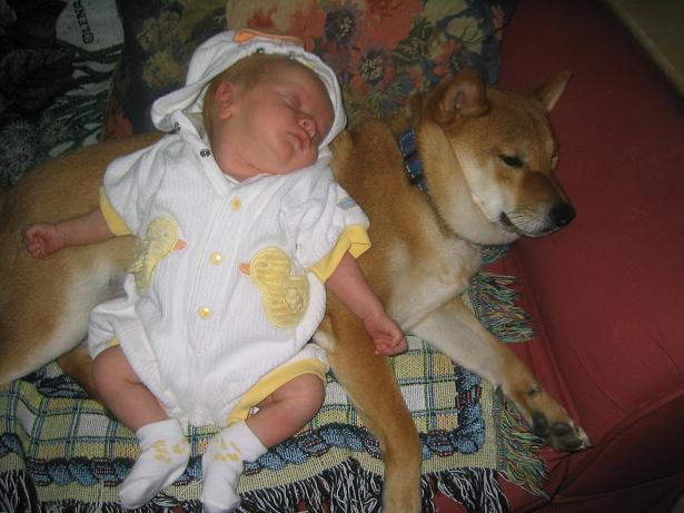 Chubby Buddies