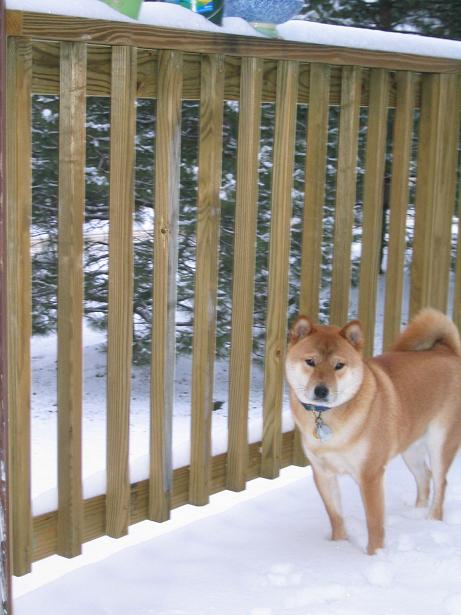 snow