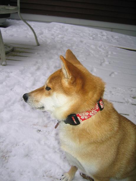 snow