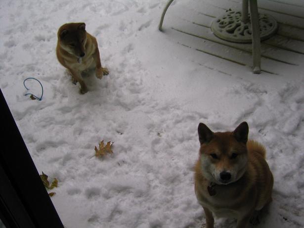 snow