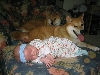 Shibas & Baby