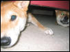 Under Couch