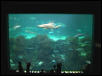 NJ Ocean Exhibit