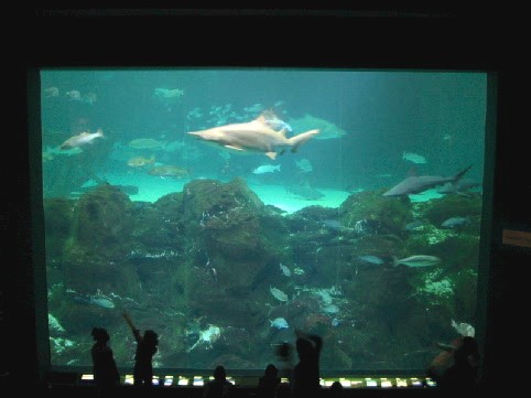 NJ Ocean Exhibit