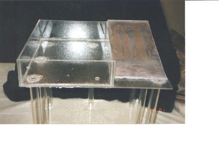Basking Platform