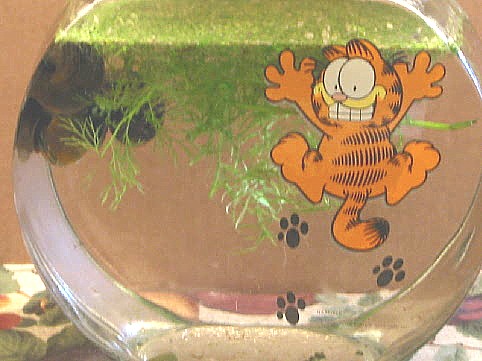 Garfield and Friends?