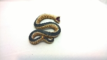 Hognose Playing Dead
