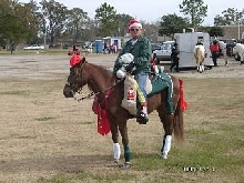 Jerry at Christmas parade