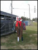 Ringo from the rear