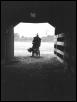black & white photo