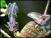 After Mating