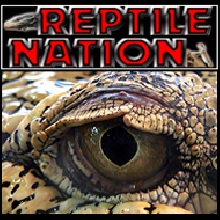 Reptile Nation
