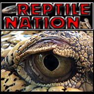 Reptile Nation