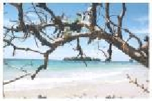Bocas Beach