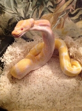 samantha as a baby