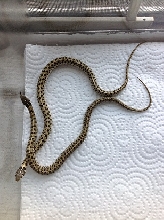 pastel het granite checkered babies
