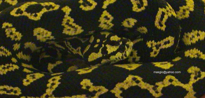 Jungle
