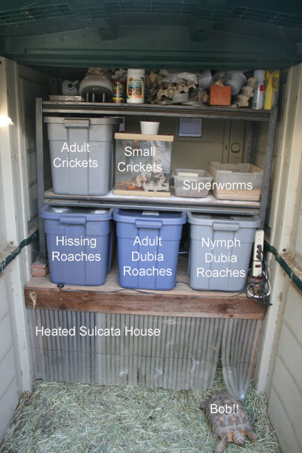 Insect rearing facility