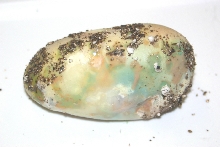 Bad Egg