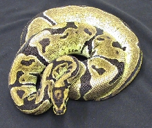 cool ball