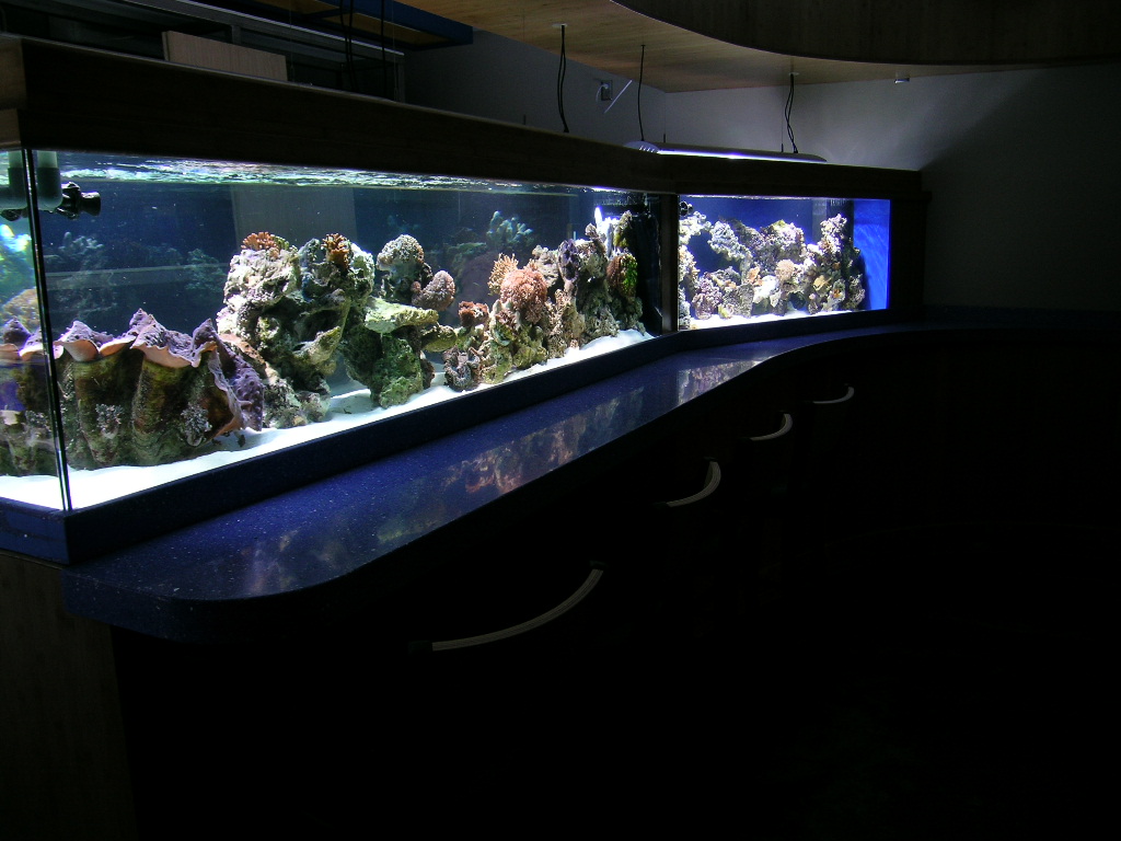 reef lounge
