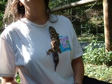 big girl 2