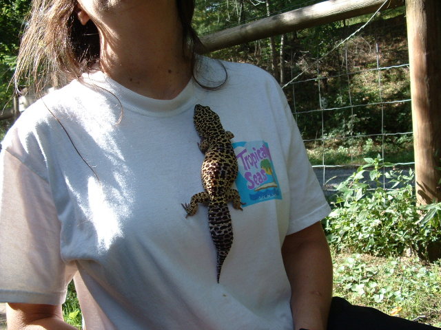 big girl 2