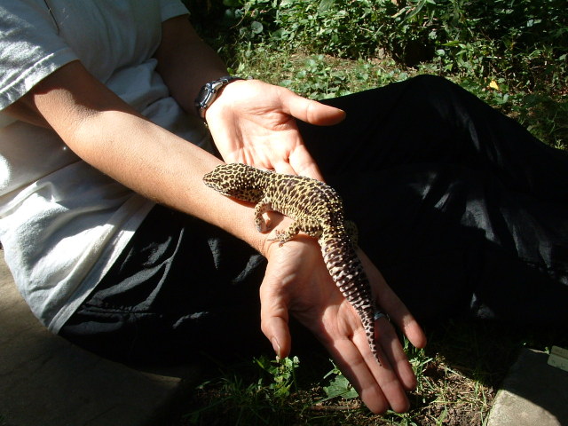 big girl 3