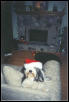 Santa's Helper