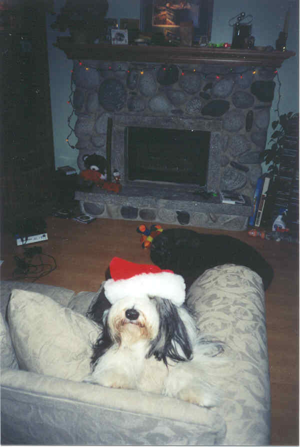Santa's Helper