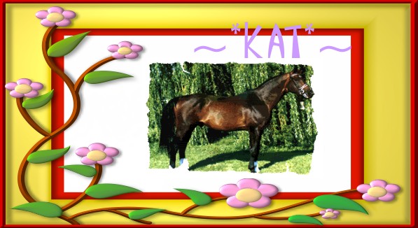 KatPic