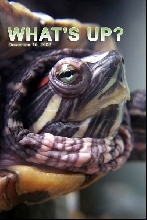 myRES - What's Up