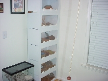 Barrs cages
