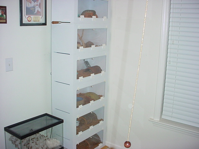 Barrs cages