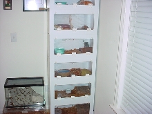 Barrs cages