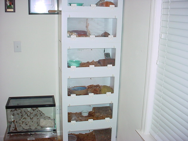 Barrs cages
