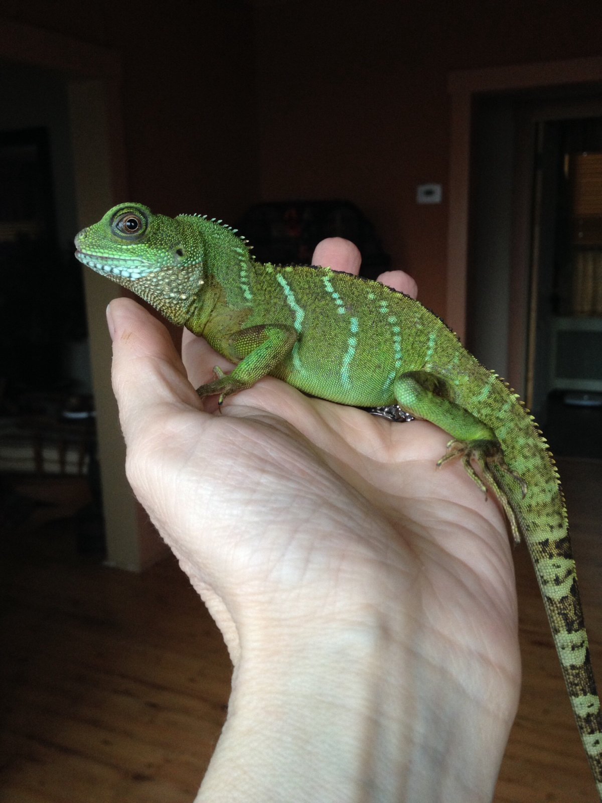Male or Female?