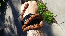 "Chita" Outside