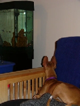 Kahla relaxing