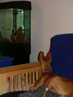 Kahla relaxing