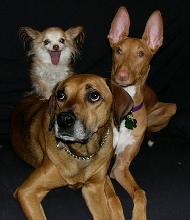 The girls
