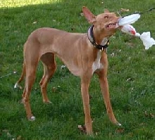 Kahla, it's mine!