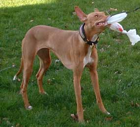 Kahla, it's mine!