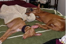 Kahla sharing with Regal