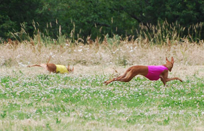 Kahla dive for the bunny