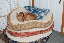 Poor deprived Kahla, only 4 beds
