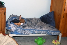 Kahla in her bed