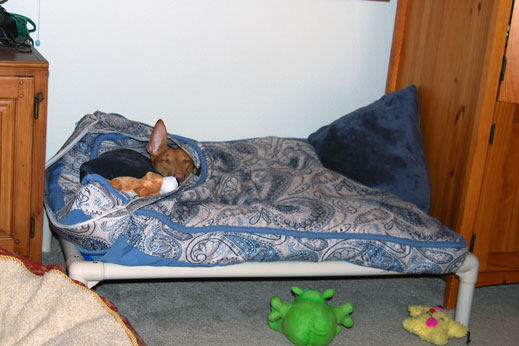 Kahla in her bed